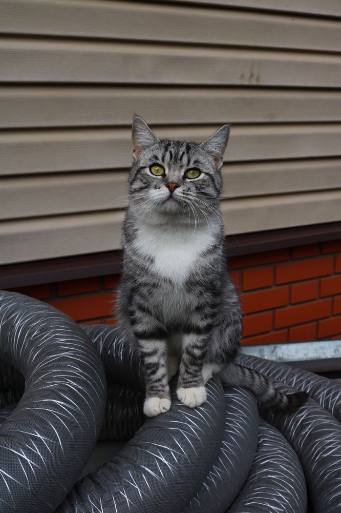 Photograph by Светлана Шуткова