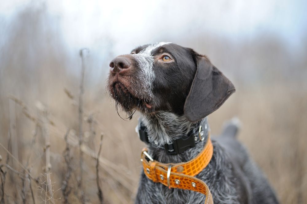 Photograph by Михаил Кинеев