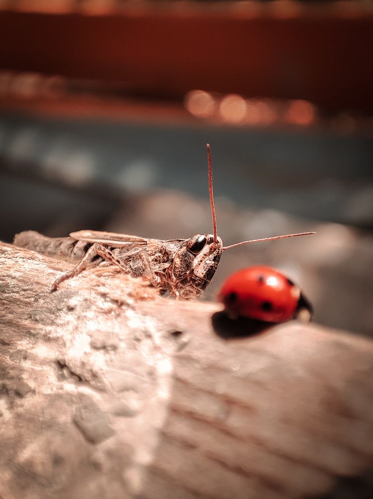 Photograph by Джафар Мехтиев