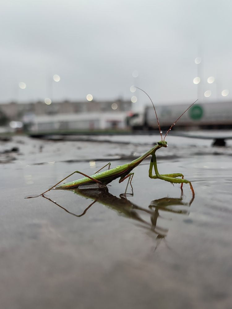 Photograph by Джафар Мехтиев