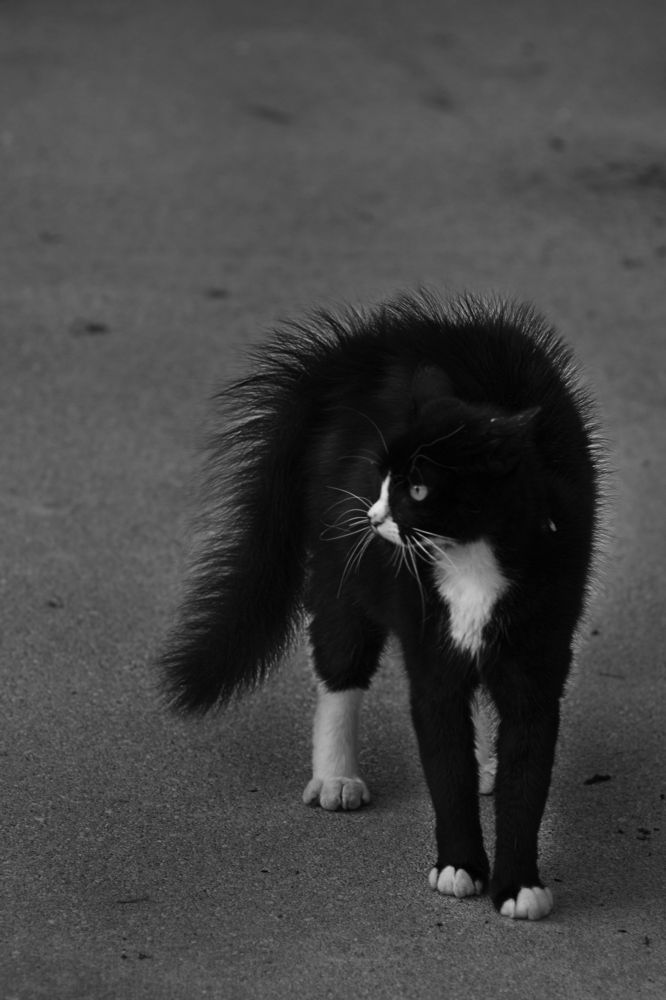 Photograph by Анна Бутко