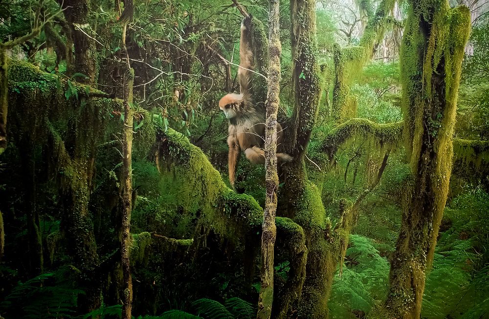 Photograph by Arif Zayoed rifat