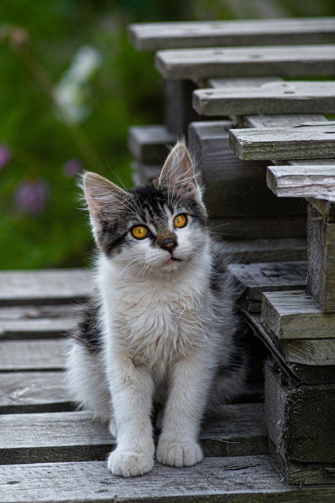 Photograph by Анна Бутко