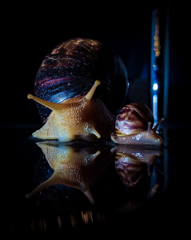 Photograph by Евгения Калугина