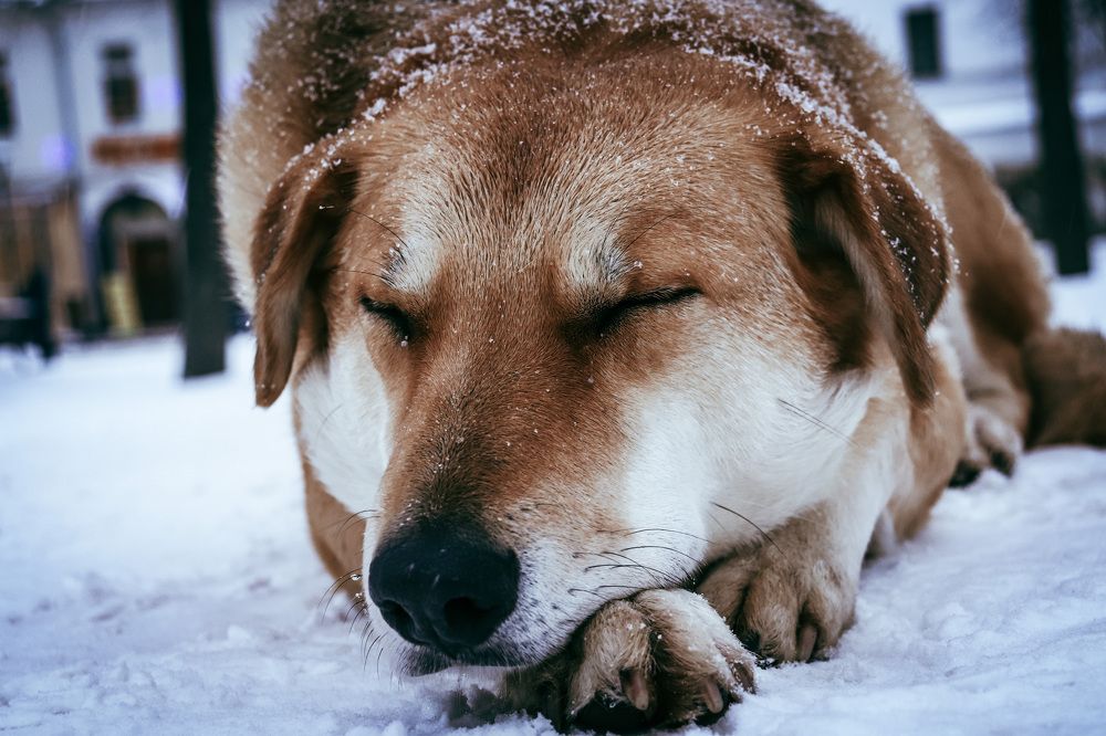 Photograph by Дмитрий Фадеев