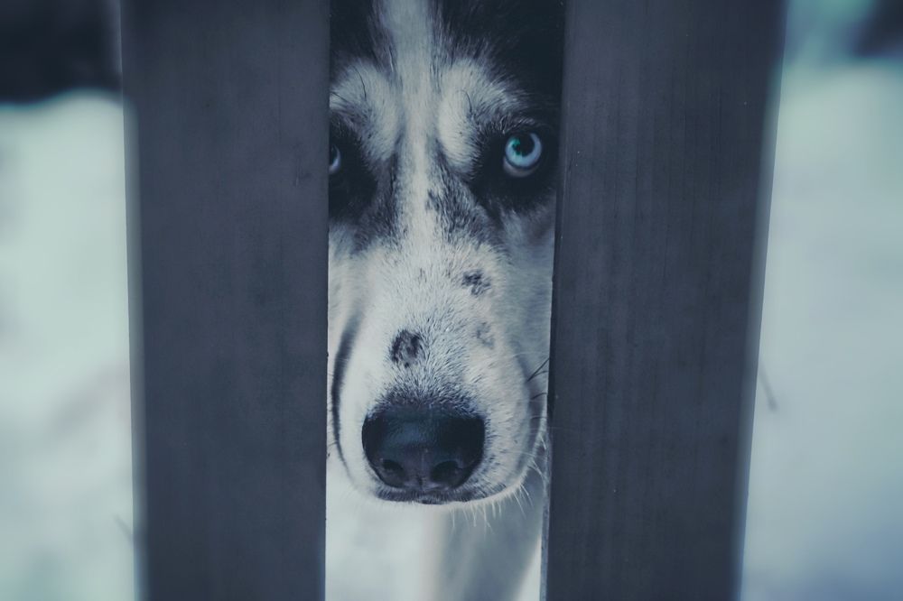 Photograph by Дмитрий Фадеев