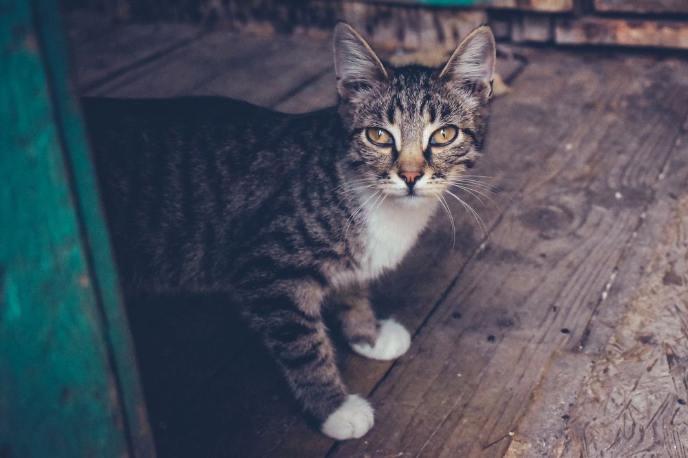 Photograph by Дмитрий Фадеев