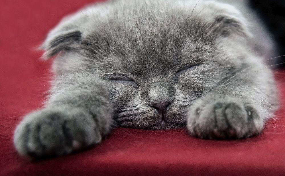 Photograph by Алексей Патлах