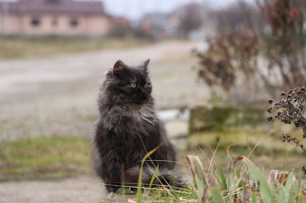Photograph by Ксения Левченко
