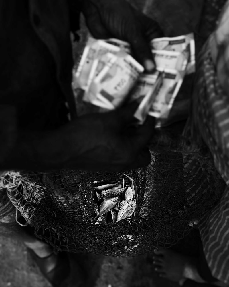 Photo #7472428