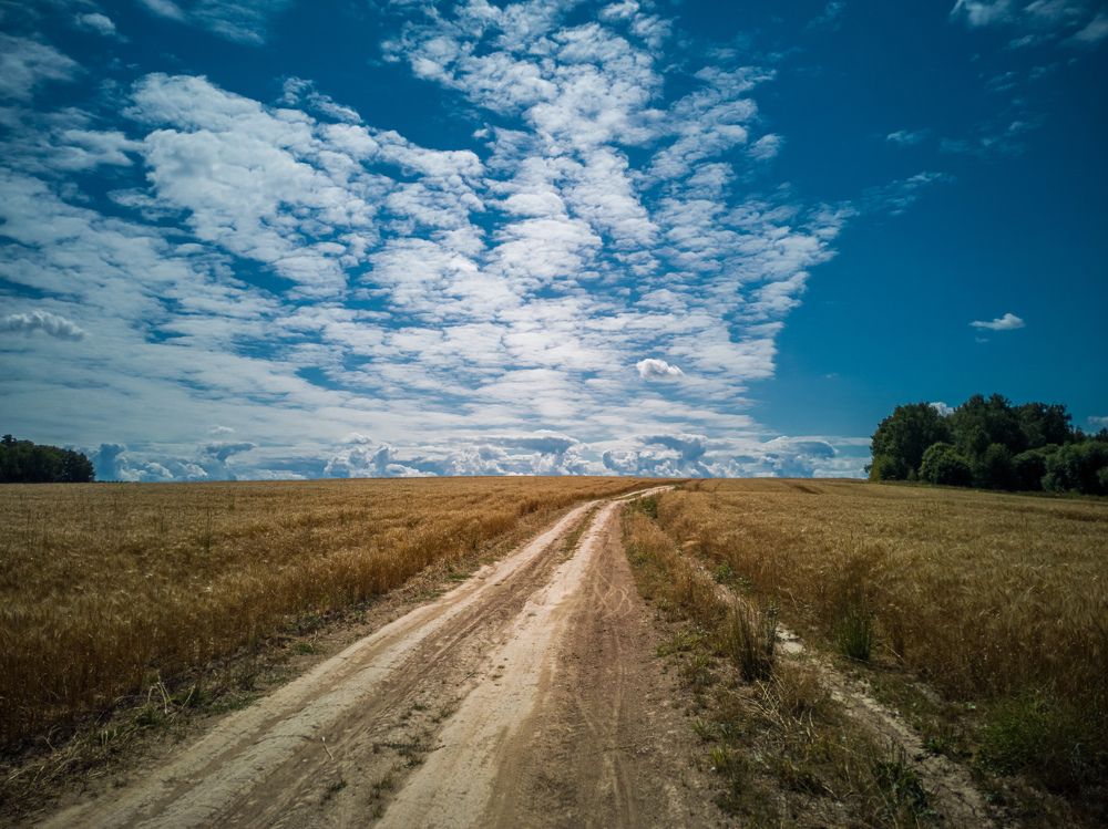 Photograph by Алексей Чеботарев