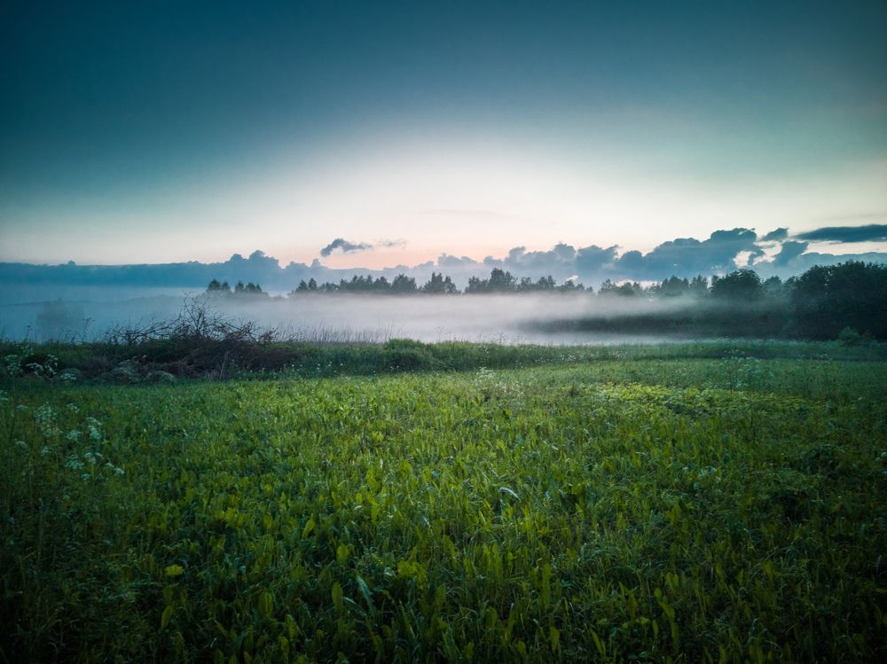 Photograph by Алексей Чеботарев