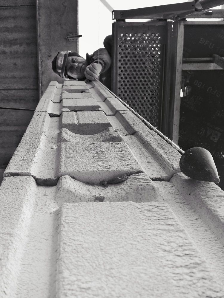 Photo #7472468