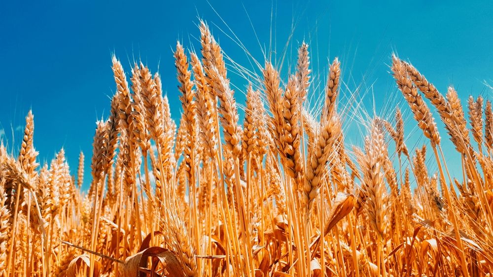 Photograph by Алёна Бондаренко