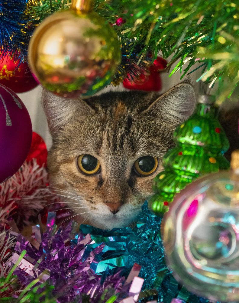 Photograph by Герман Корнеев