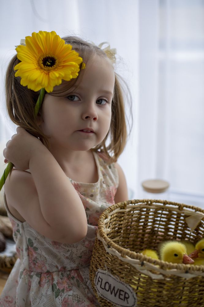 Photograph by Rita Silver