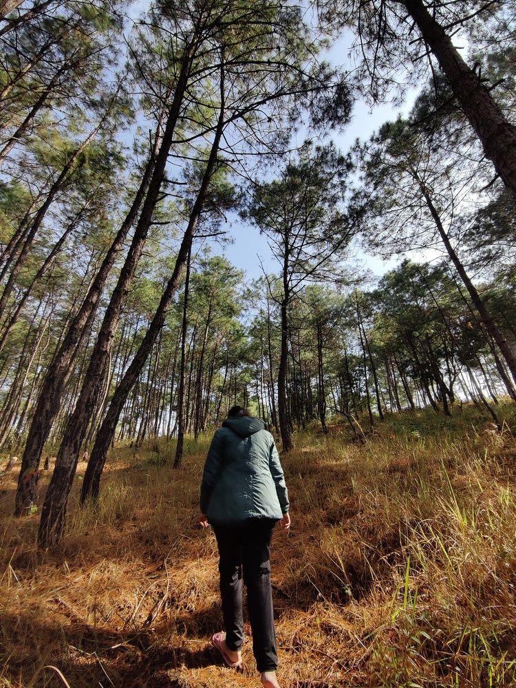 Фотография автора Naina Kumari