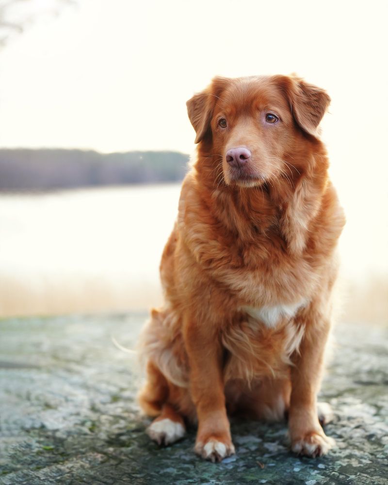 Photograph by Anna Sindikayeva