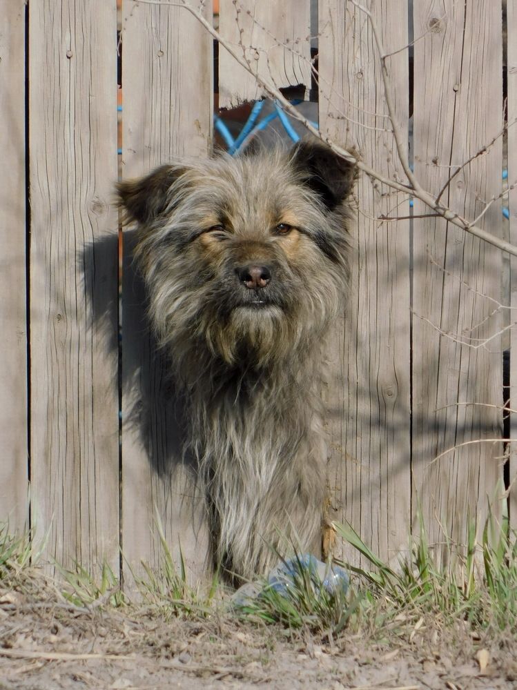 Маскировка