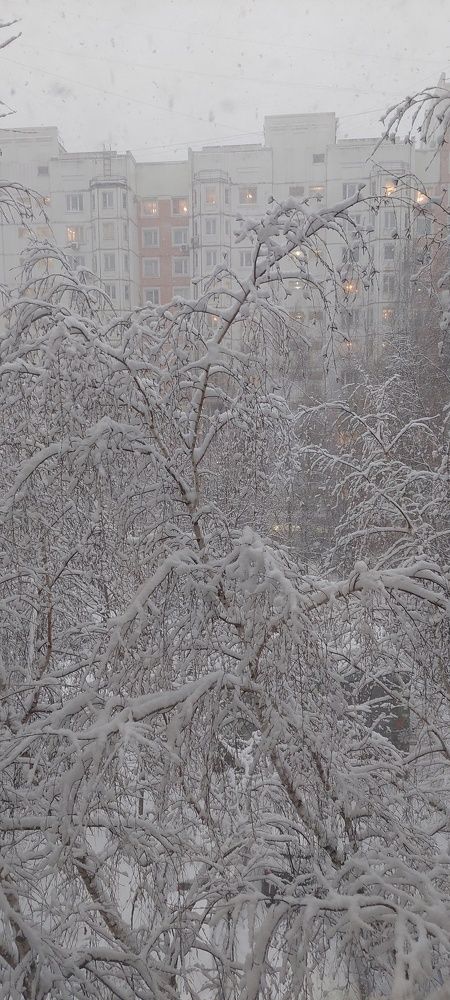 Photograph by Андрей Зиновьев