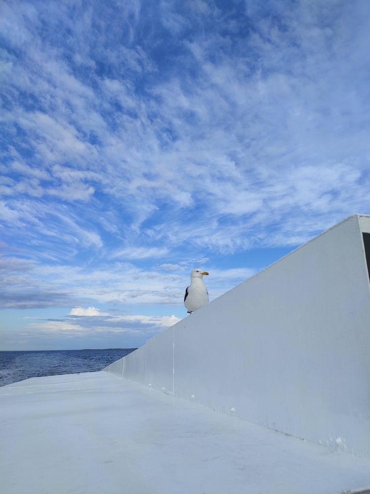 Photograph by Елена Климачева
