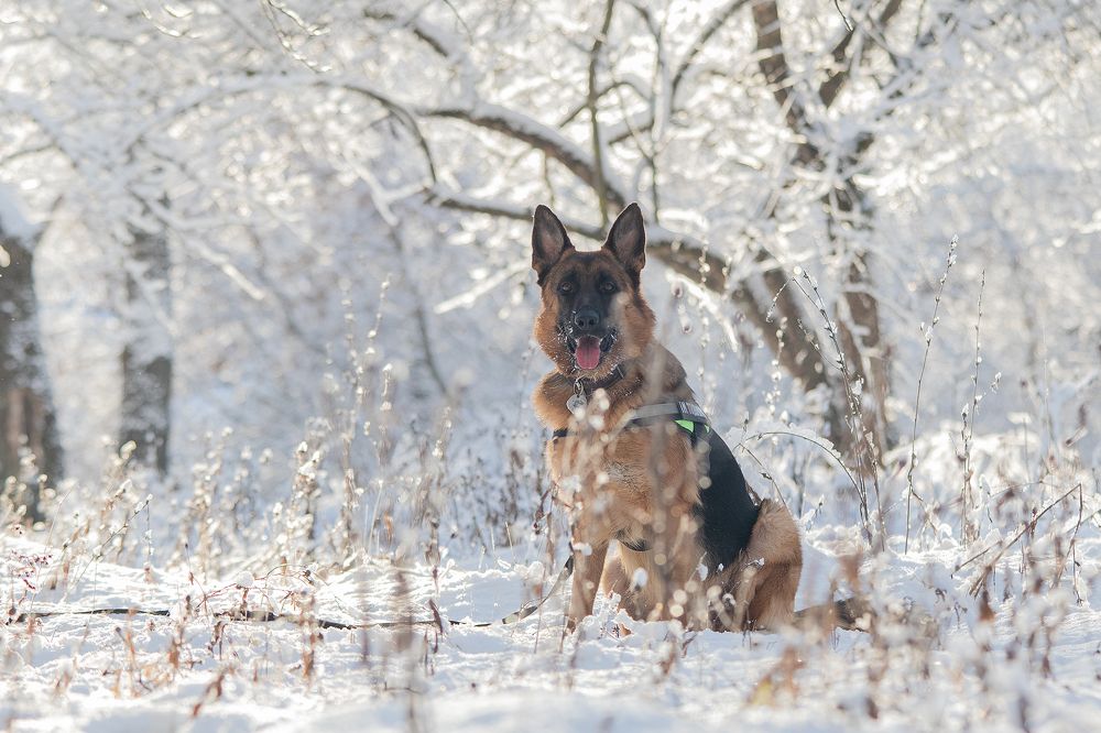 Photograph by Любовь Головина