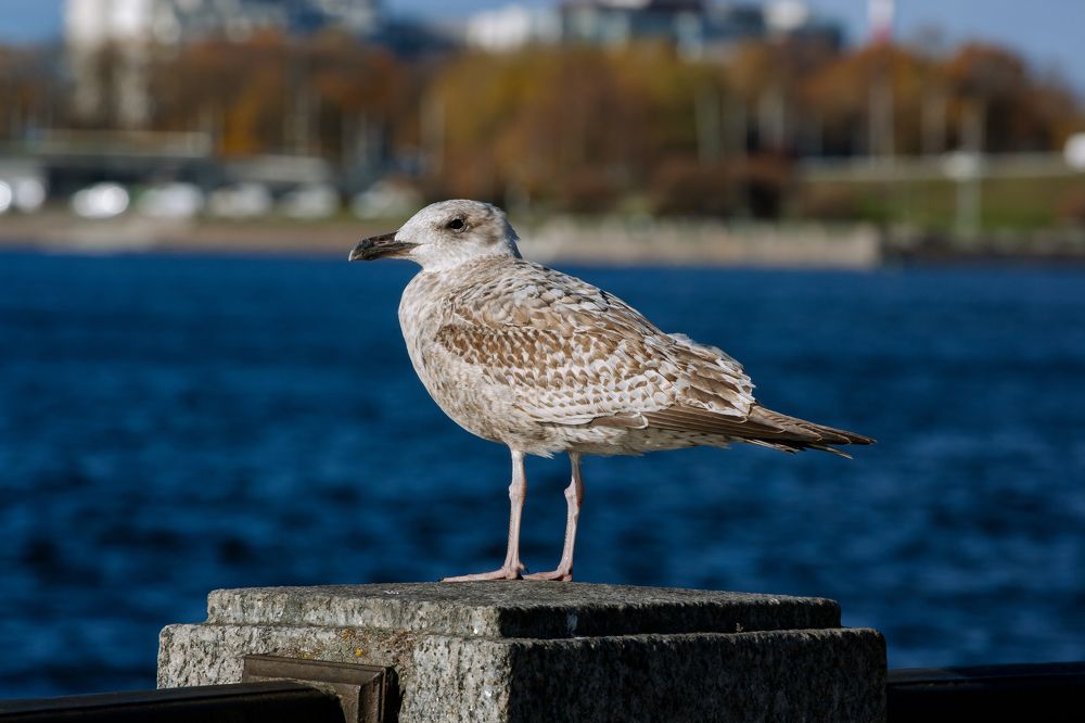 Photograph by Мария Данилкина