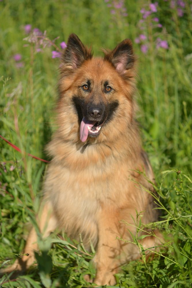 Photograph by Олеся Парфенова