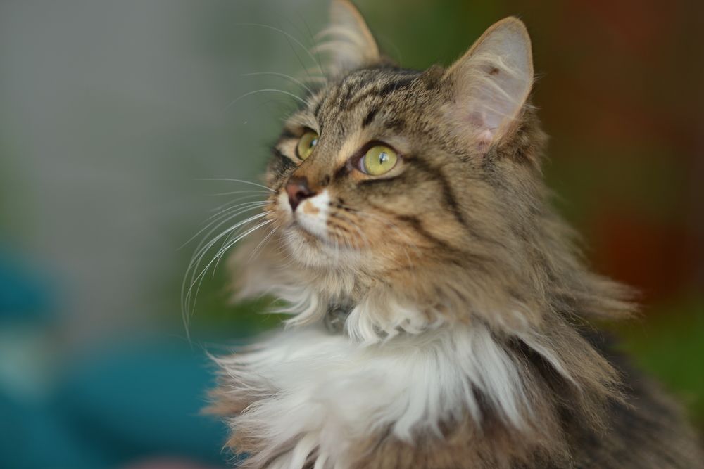 Photograph by Олеся Парфенова