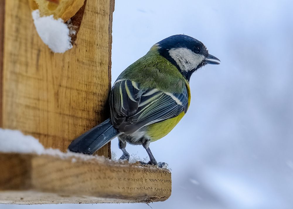 Photograph by Сергей Кравченко