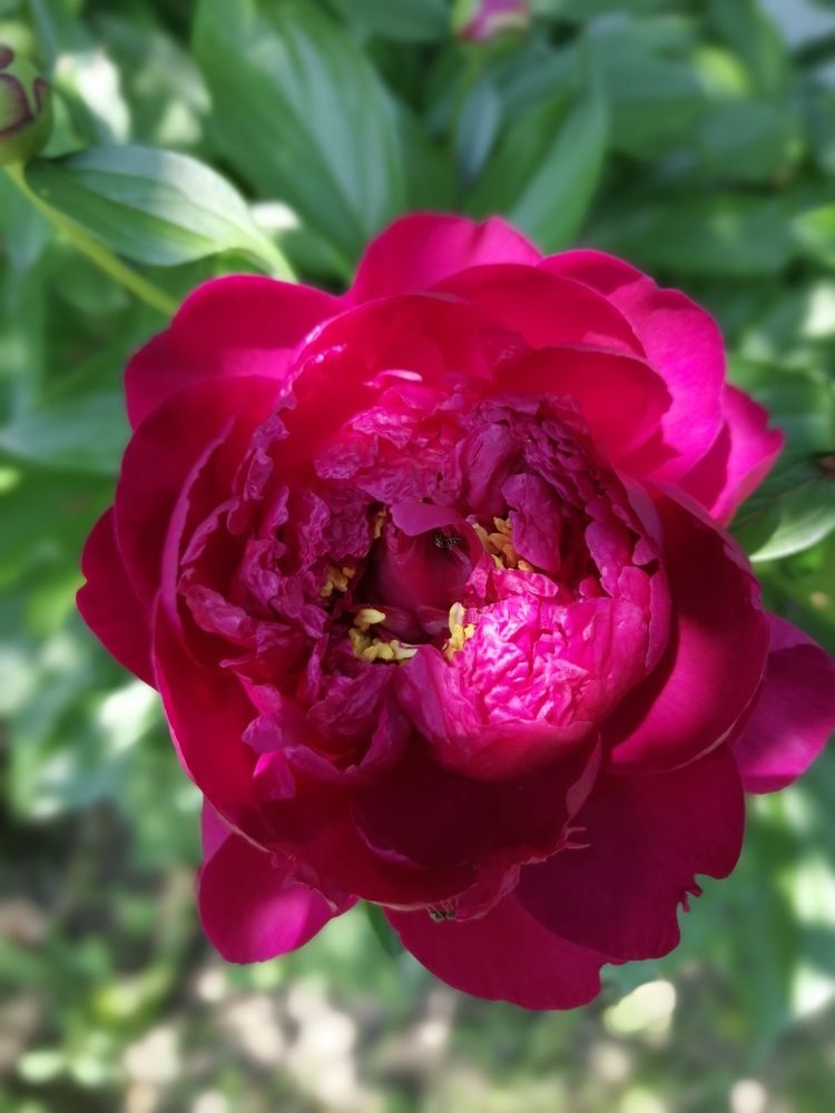 Photograph by Олеся Парфенова