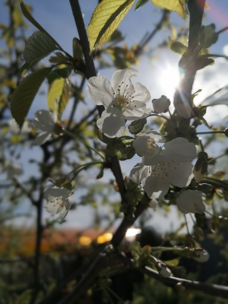 Photograph by Олеся Парфенова