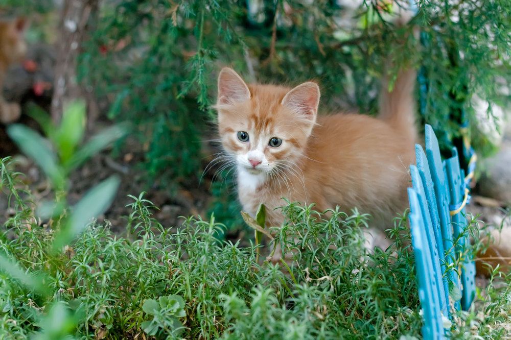 Photograph by Мария Данилкина