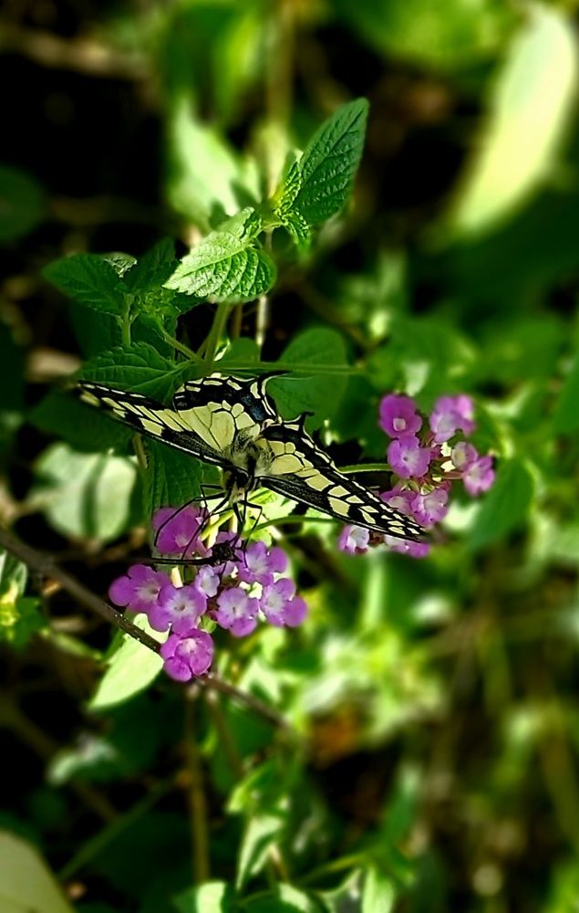 Photograph by Rina Faktor