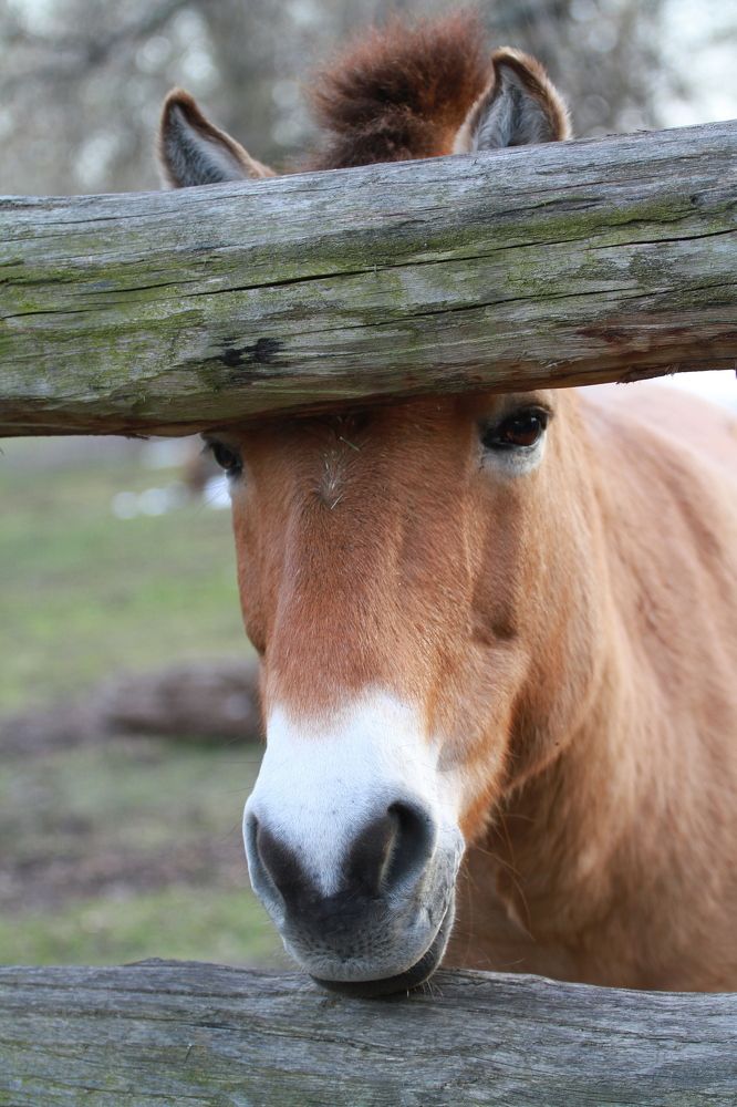 Фотография автора Анна Яковенко
