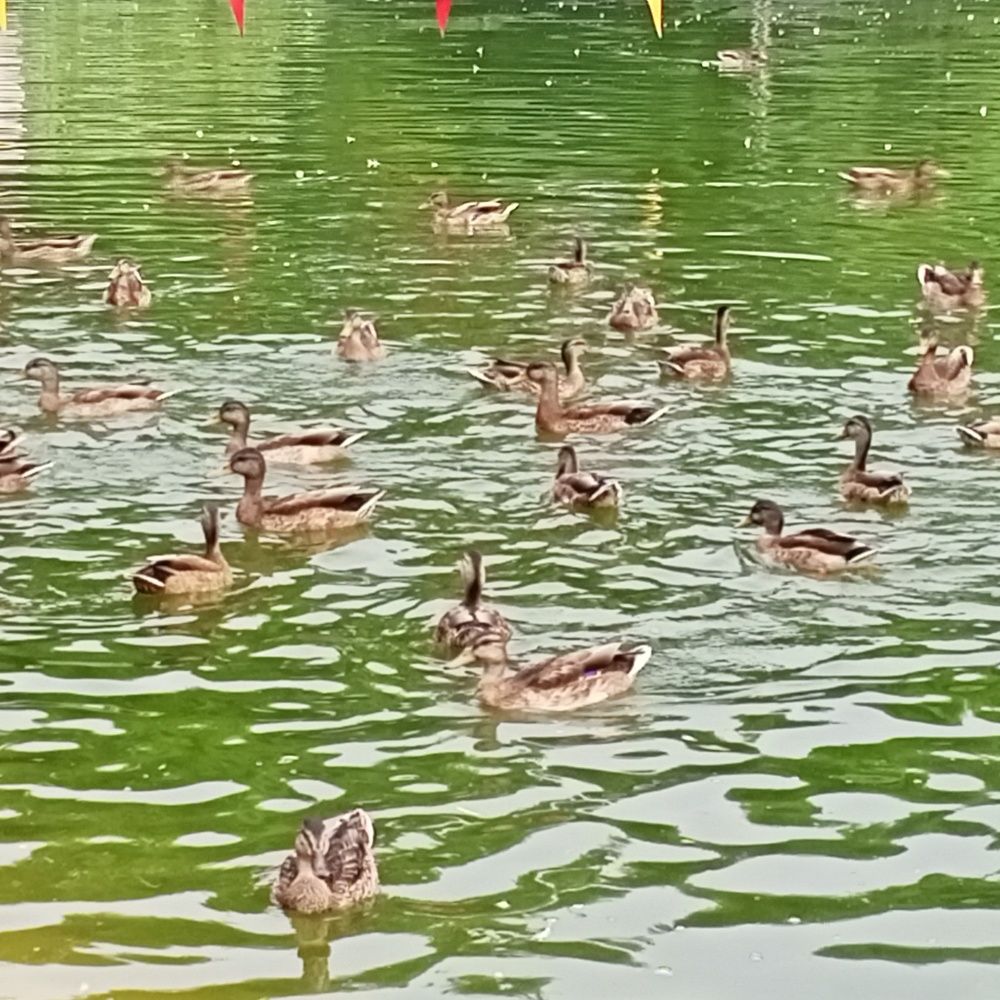 Photograph by Адамян Анна