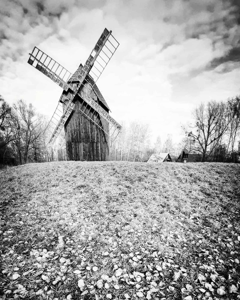 Photograph by Patrycja Cierpicka