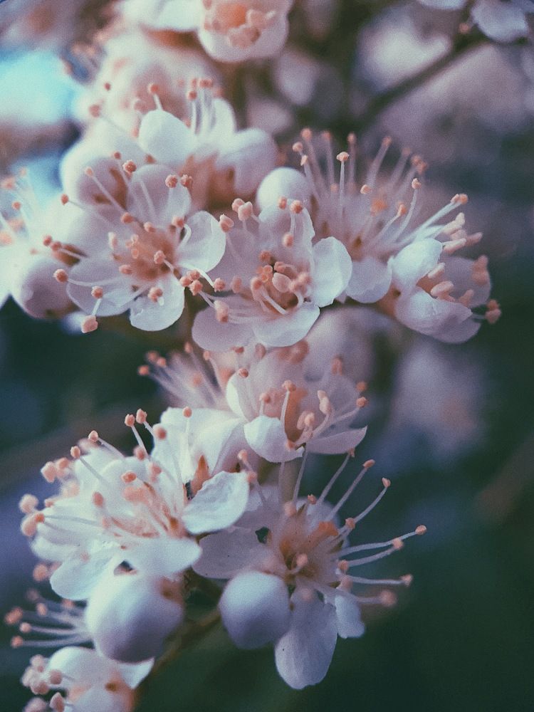 Photograph by Никита Утехин