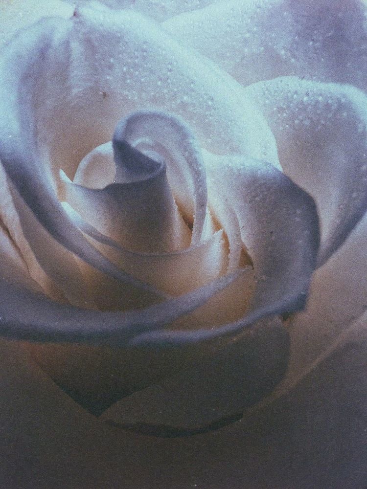 Photograph by Никита Утехин