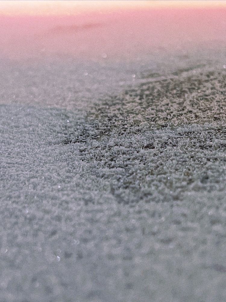 Photograph by Никита Утехин