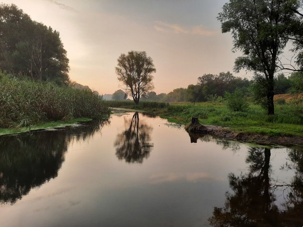 Photograph by Людмила Е.