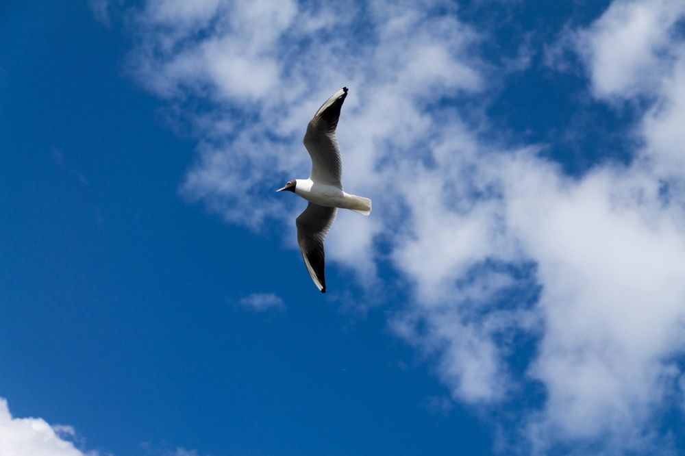 Photograph by Алексей