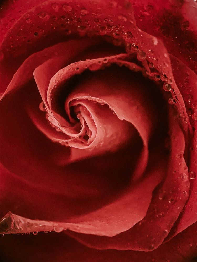 Photograph by Никита Утехин