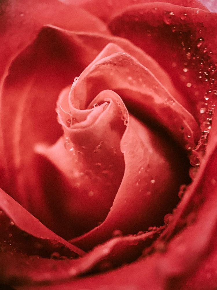 Photograph by Никита Утехин