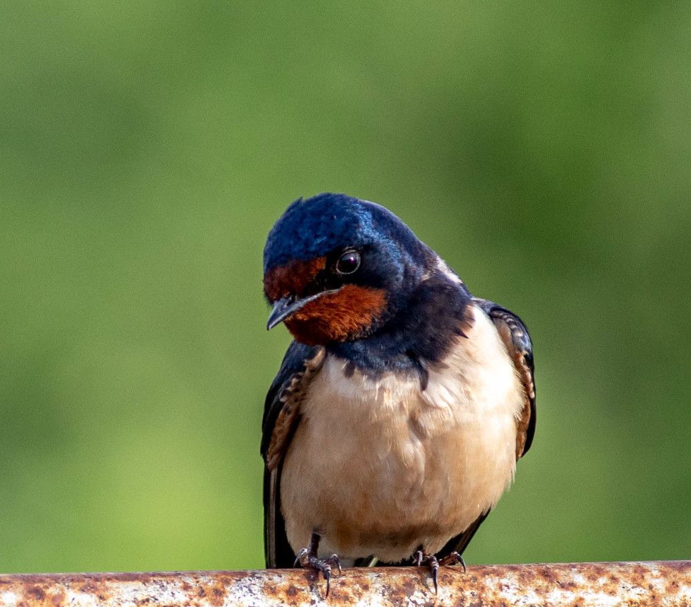Photograph by Евгений Еськов