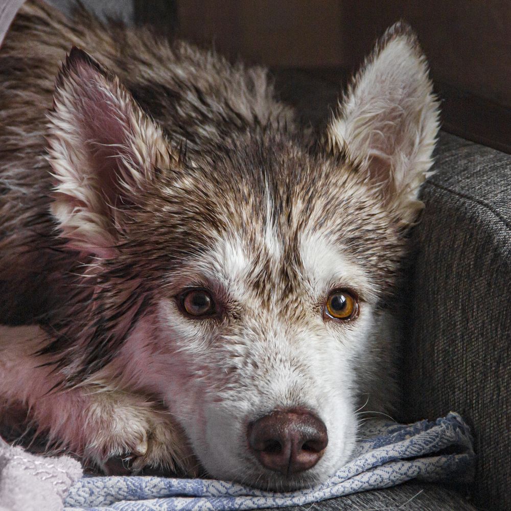 Photograph by Алексей Марченков