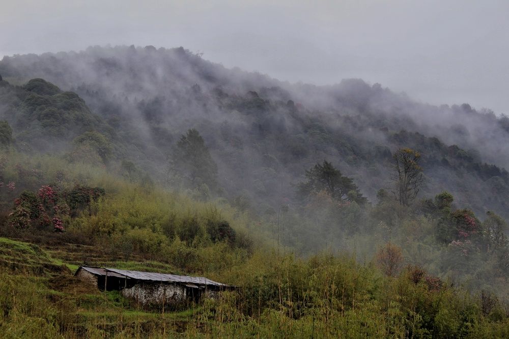 Photograph by Anand Targain