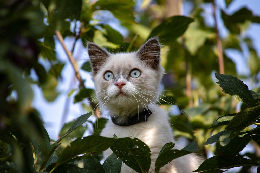 Photograph by Евгений Еськов