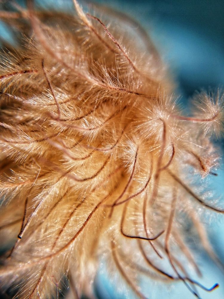 Фотография автора Кристина Горя