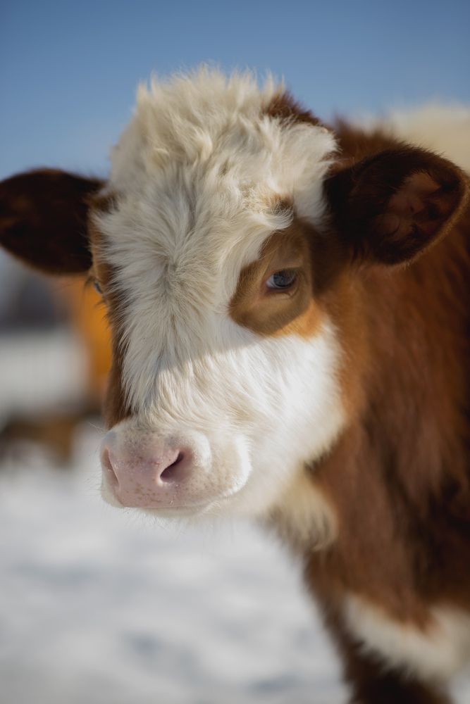 Photograph by Олеся Парфенова